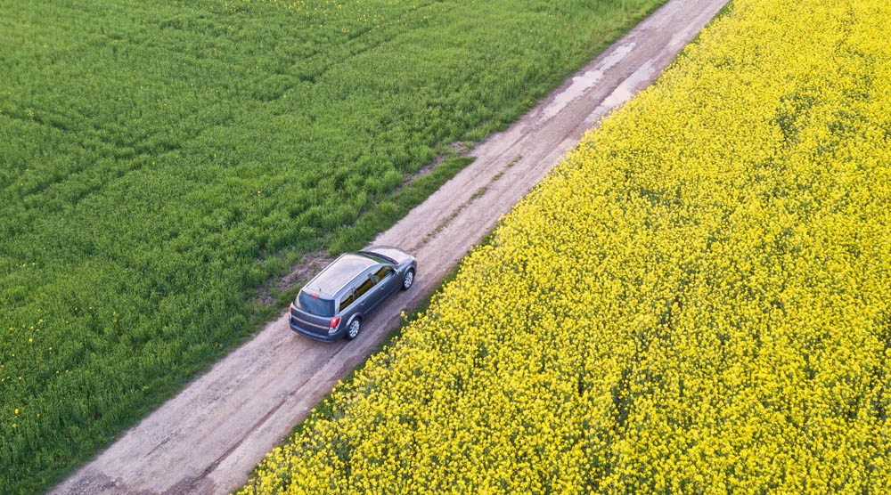 easternn-box-spring-auto